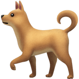 Puppy dog insurance UK